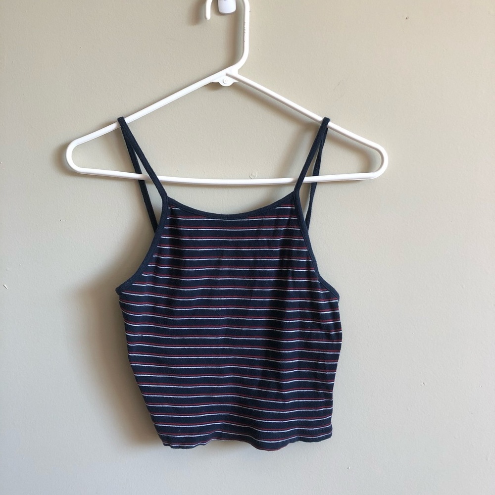 Striped Brandy Melville Crop Tank